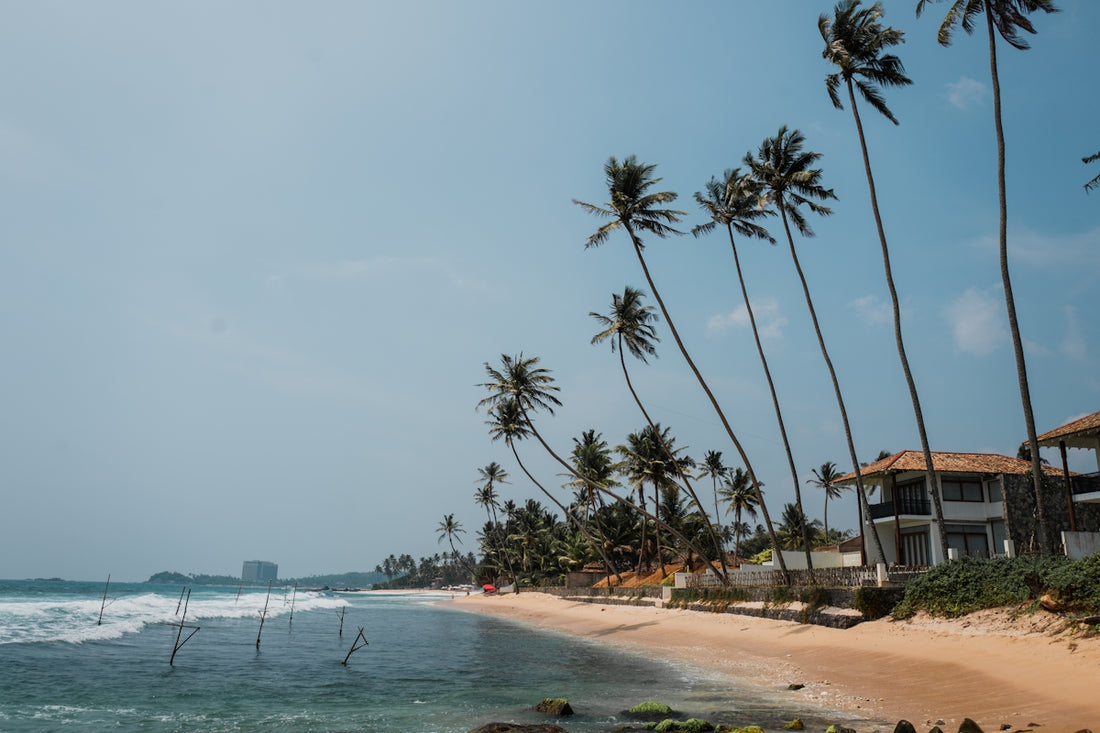 a beach with palm trees and houses on the shore